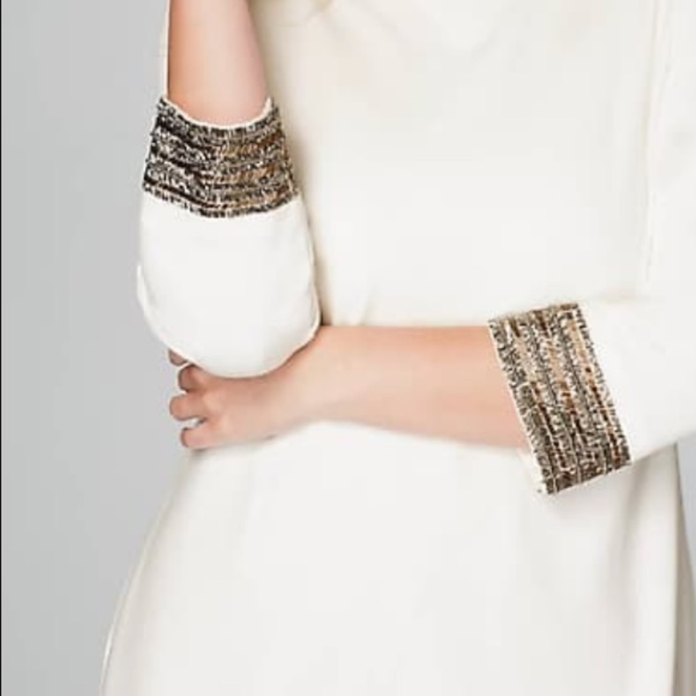 Chritian Siriano for J. Jill beaded sleeve dress